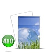 Adesivos BH